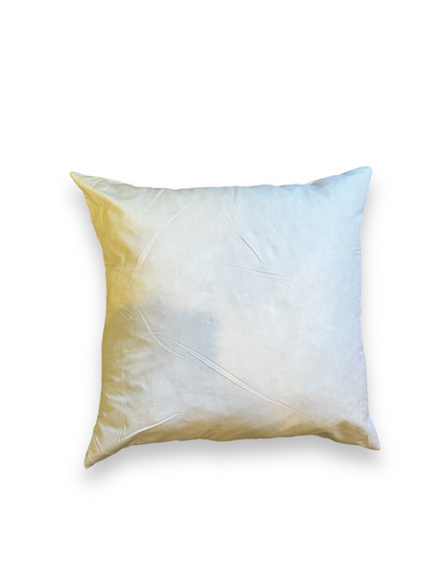 Bri Bri Scalloped  Edge Pillow with Insert 16x16 inch